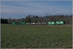 Die beiden BAM MBC Ge 4/4 22 und 21 mit ihren vier Fans-u und drei Faccns bei Vufflens le Château.