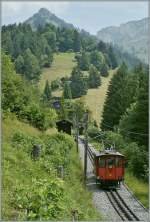 Auf Talfahrt: MG HGe 2/2 N� 2 zwischen Cr�t-d'y-Bau und Haut-de-Caux.