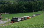 Der für die Vierfachbespannung vorgesehens Dampfzug auf dem Weg nach Blonay bei Cornaux.