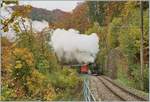 Und es dauerte nicht lange, bis nicht nur der weit sichtbare Rauch, sondern auch die dafür verantwortliche Lok in Bild kamen: Die BFD HG 3/4 N° 3 hat die Baie de Clarens überquert und
