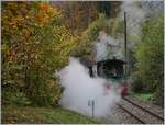 La Dernière du Blonay - Chamby - das 50.