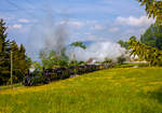   50 Jahre BC - MEGA STEAM FESTIVAL der Museumsbahn Blonay–Chamby: Ein Höhepunkt war am Samstag (19.05.2018) der von gleich sieben Dampfloks gezogene Zug von Blonay nach Chamby, der hier