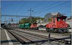 Die wieder auf der Normalspur rollenden G�terwagen werden von einem Te �bernommen und sp�ter auf einem Ausziehgeleis in Richtung Lausanne gezogen.