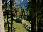 Den Zug geh�rt und dann zur vorher entdeckten Lichtung gespurrtet und das ex Biperlisi (heute BLM Be 4/4 31) hier fotografiert.