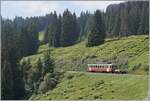 Der BLM Be 4/4 31  Lisi  ist mit seine Vorstellewagen kurz vor Winteregg auf dem Weg nach Grütschalp. 


8. Aug. 2024