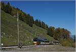 Der MOB Panoramic Express bei der Durchfahrt in Les Cases: Der MOB Panoramic 2119 von Zweisimmen kommend und nach Montreux fahrend erreicht Les Cases mit seinen herrlich krumen Holzfahrleitungsmasten.