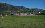 Seit 2017 sind die Montreux-Oberland Bernoise Railway und die Nankai Electric Railway  Sister Railways, was immer dies auch bedeuten mag, neben Aufklebern auf Alpina Triebwagen und einem grossen