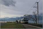 Die MOB Ge 4/4 8002 ist mit dem GoldenPass Express 4068 von Montreux nach Interlaken bei Ch�telard VD unterwegs.