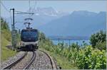 Die Ge 4/4 8002 ist mit ihrem GPX kurz nach Planchamp schon fast am Ziel ihrer Reise angekommen.