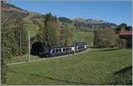 Zwischen Schönried und Gruben konnte ich den MOB/BLS GoldenPass Express PE 4068 auf der Fahrt von Interlaken Ost nach Montreux kurz nach Schönried fotografieren.