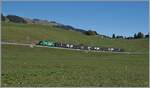 In weiten Kurven gewinnt das Trasse der MOB zwischen Gstaad und Schönried die nötige Höhe.
