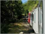 Zwischen Le Tr�tien und Finhaut bezieht der Mont-Blanc Express den Strom �ber die Stromschiene.