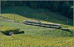 Nachdem sich zwei ADD Triebwagen etwas br�sk zu nahe kommen sind, fand die ASD mit dem LEB Be 4/4 N� 26 und Bt 151 eine L�sung, um die drei an Winterwochenende erforderlichen Uml�ufe abdecken zu
