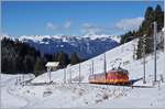 Die TPC BVB HGe 4/4 31 zieht zwei Reisezugwagen kurz nach Col-de-Soud Richtung Col de Bretaye.