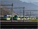 Noch einmal die neuen ABe 4/8, diesem im direkten Vergleich zum Beh 2/6 545 im TPC Dépôt En Châlet bei Aigle.