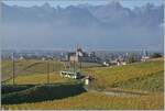 Vom gleichen Standpunkt aus nochmals der gleiche Zug nun bereits deutlich tiefer und inmitten herrlicher herbstlicher Reben.