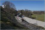 Ein TPF Regionalzug ist zwischen Broc Village und Broc Fabrique unterwegs.