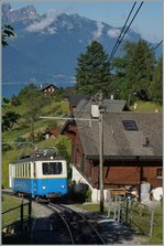  Zugsverfolgung  einmal anders: oberhalb von Caux holte der fast achtzig jährigen Bhe 2/4 207 den weitaus jüngeren Bhe 4/8 303 fast ein.