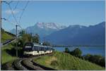 Sieben Gipfel und vier Stromabnehmer ragen in den freundlichen Abendhimmel! Der MOB Regionalzug 2238 ist auf der Fahrt von Montreux nach Zweisimmen kurz vor Planchamp vor dem Hintergrund der fast