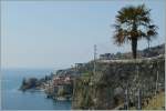 Ein Bahnsuchbild - im Lavaux bei St Saphorin und Rivaz am 20.
