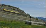 Es geht bergab: Der Train de Vignes auf seiner Fahrt hinunter nach Vevey kurz nach Chexbres.