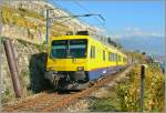 Hier noch zwei �ltere (und leicht nachbearbeitete) Bilder des Train des Vignes.