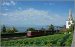 Die Re 4/4 III 11351 (ex SOB) transportiert G�terwagen ins Wallis.