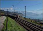 Hier wird dem Zug, dem RABe 511 von Romont nach Genève, ganz klar nur eine schattige Nebenrolle eingeräumt.