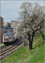 Ein Hauch Frühling im Lavaux.