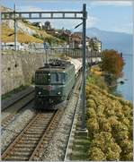 Die Ae 6/6 11405  Nidwalden  mit einem Güterzug bei St-Saphorin.