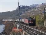 Die SBB Re 620 016-6 mit einem Kesselwagenzug zwischen Rivaz und St-Saphorin.