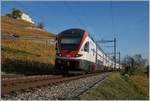 Der SBB RABe 511 105 Als RE nach Genève kurz vor Lutry im Lauvaux.