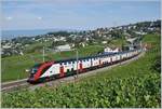 Die beiden SBB Twindexx RABe 502 212-9 und RABDe 502 010-3 (Ville de Genève) sind bei Bossière als IC 713 unterwegs.