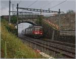 Die SBB Re 6/6 11634 (Re 620 034-8)  Aarburg Oftringen  erreicht mit ihrem Güterzug Cully, ein Bahnhof, dem umfangreiche Umbauarbeiten bevorstehen.