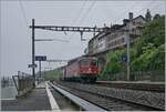 Die SBB Re 6/6 11685 (Re 620 085-1)  Sulgen  ist mit einem Güterzug bei St-Saphorin auf der Fahrt Richtung Villeneuve.