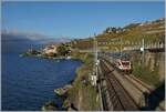 Ein Klassiker aus dem Lavaux: Zwischen Rivaz und St-Saphorin sind zwei SBB RABe 511 von Annemasse nach St-Maurice unterwegs. 

25. Okt. 2022