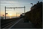 Abendstimmung am Genfersee / ein SBB Flirt RABe 523 erreicht St-Saphorin.

11. März 2012