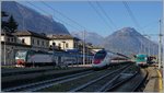 Während die lange Nase des Pinocchio schon im Schatten ist, zeigen sich die Trennord E 464 192 und der FS Aln 668 1201 im der Abendsonne.