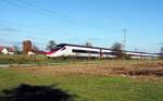 SBB ETR 610 (RABe 503) bei Leutkirch 23.10.2021.
