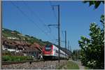 Ein SBB ICN zwischen Ligerz und Twann auf seiner Fahrt Richtung Biel/Bienne.