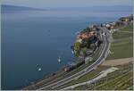 Ein SBB Flirt RABe 523 ist bei Rivaz auf dem Weg nach Lausanne.