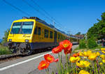 Es waren die letzte Tage des  Train des Vignes ....