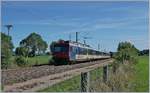 SBB NPZ als RE 18123 auf der Fahrt von Frasne (ab 10:53) nach Neuchâtel (an 11:53) kurz nach dem Bahnübergang PN 17 zwischen La Rivière - Drugeon und Ste-Colombe.