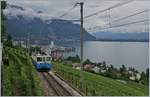 Der MOB ABDe 8/8 4002 VAUD auf dem Weg nach Chernex oberhalb von Montreux kurz vor Châtelard VD.