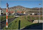 Der CEB MVR ABeh 2/6  Blonay  kurz nach dem Verlassen der neuen Haltestelle Vevey Vignerons, rechts im Bild das Strassennamensschild  chemin des Vignerons , wobei sich die H�user immer weiter in die