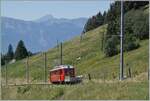 F�r das 125 Jahre Jubil�um der Bex - Villars - Col-de-Bretaye Bahn (BVB) wurde der 1944 in Betrieb genommen Triebwagen BDeh 2/4 N� 25 in der urspr�nglichen BVB Farbgebung lackiert.