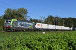 2025-10-07.BLS-RailCare.Vufflens-la-Ville
Locomotive électrique siemens Vectron 
Re 475 430 louer à RailCare 