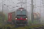 Am sehr nebligen 23 Oktober 2024 verl�sst SBBCI XLoad 193 542 mit ein KLV f�r Kijfhoek Emmerich.