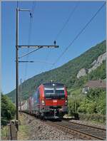Kurz nach dem �bergang von Doppel- auf Einspur bei Ligerz konnte ich die 193 051 mit einer weiteren SBB Cargo 193 fotografieren.