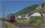 Zwei Vectrom (und eine  kalte  Re 4/4 II) sind bei Ligerz mit einem Güterzug auf der Fahrt in Richtung Biel/Bienne.